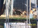 100_0024.JPG