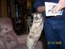 100_0031.JPG